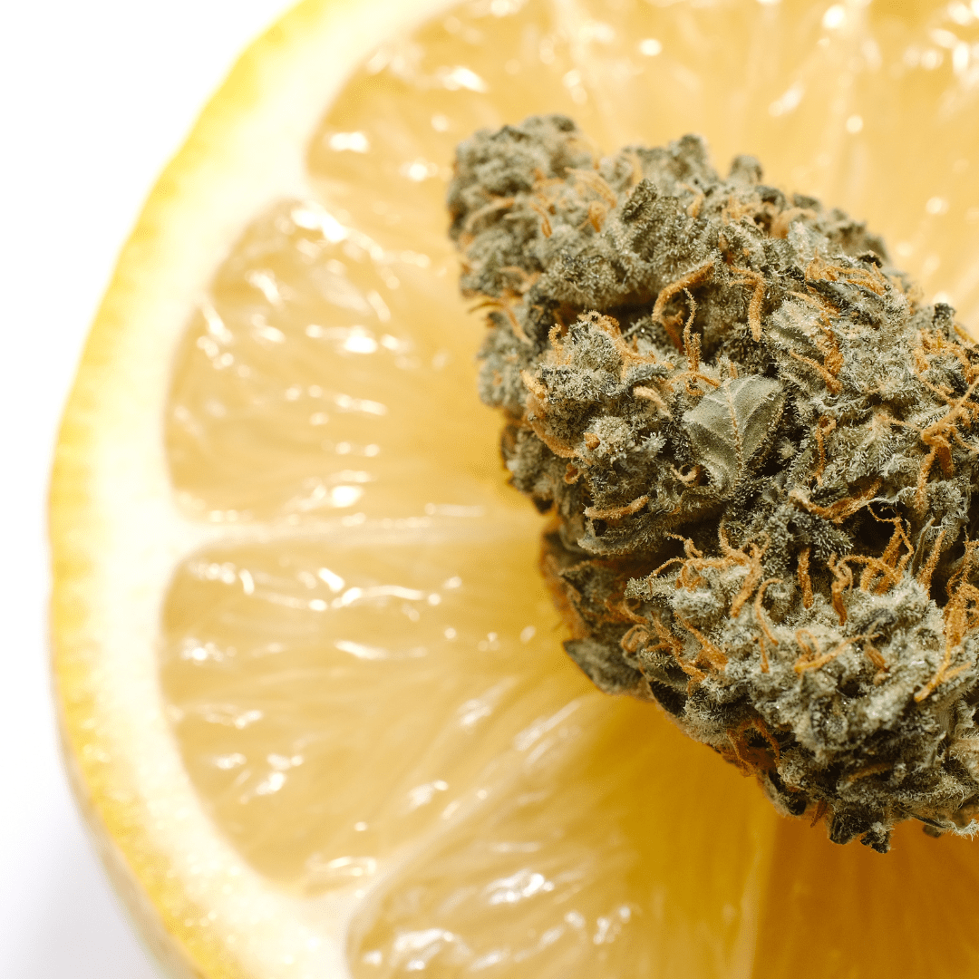 Delta 9 vs. Full Spectrum CBD Gummies: Which is Right for You? - Good Organics