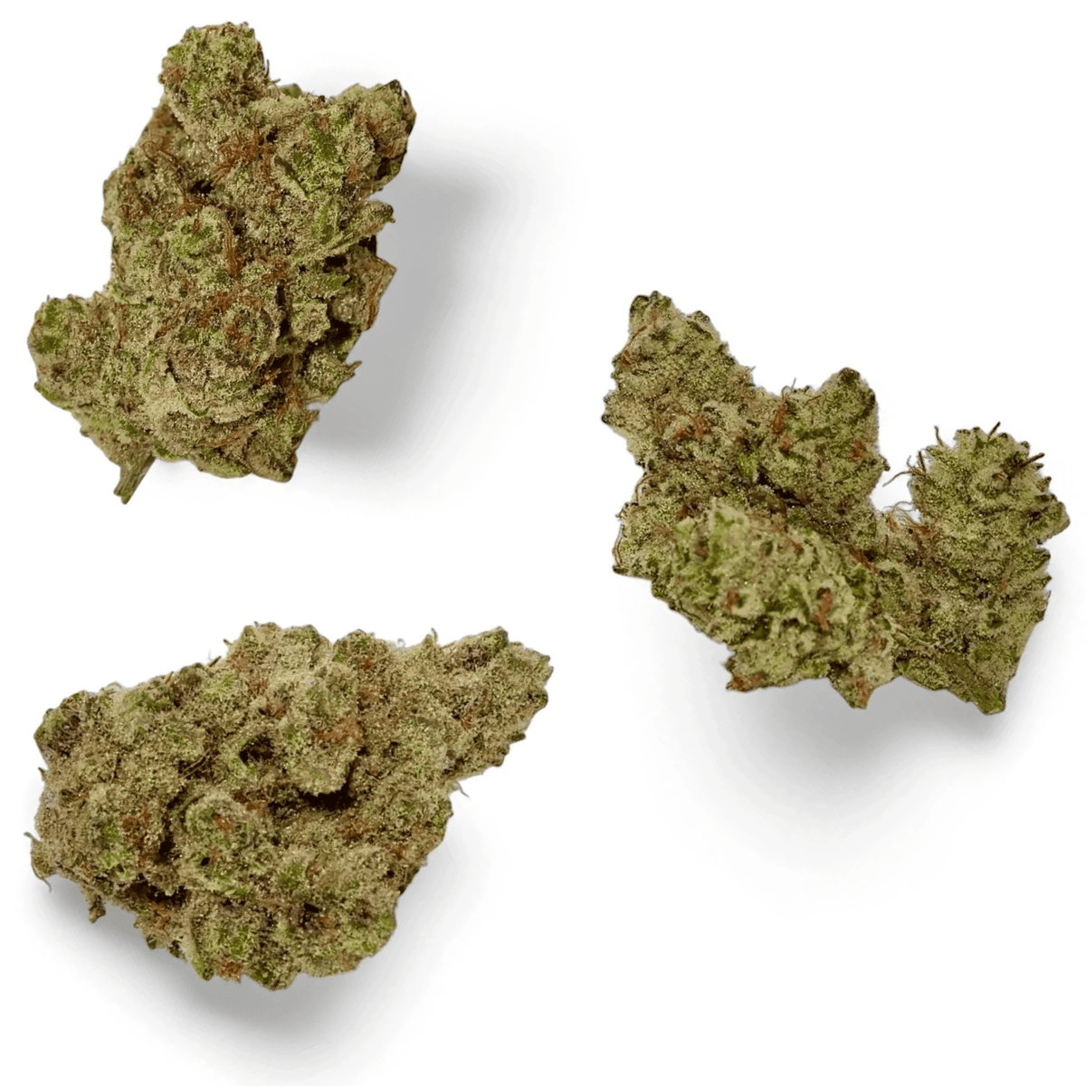 Hybrid vs. Indica vs. Sativa: What They Really Mean for Your Day - Good Organics