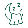Sleep Support