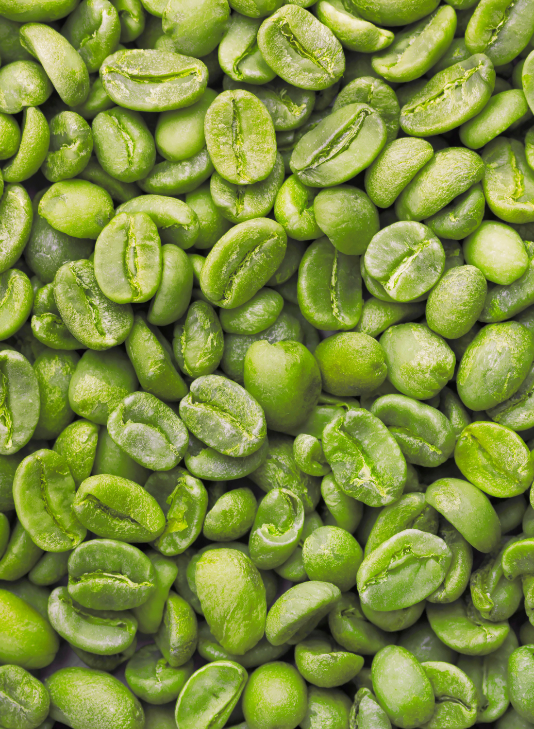 Green Coffee Bean