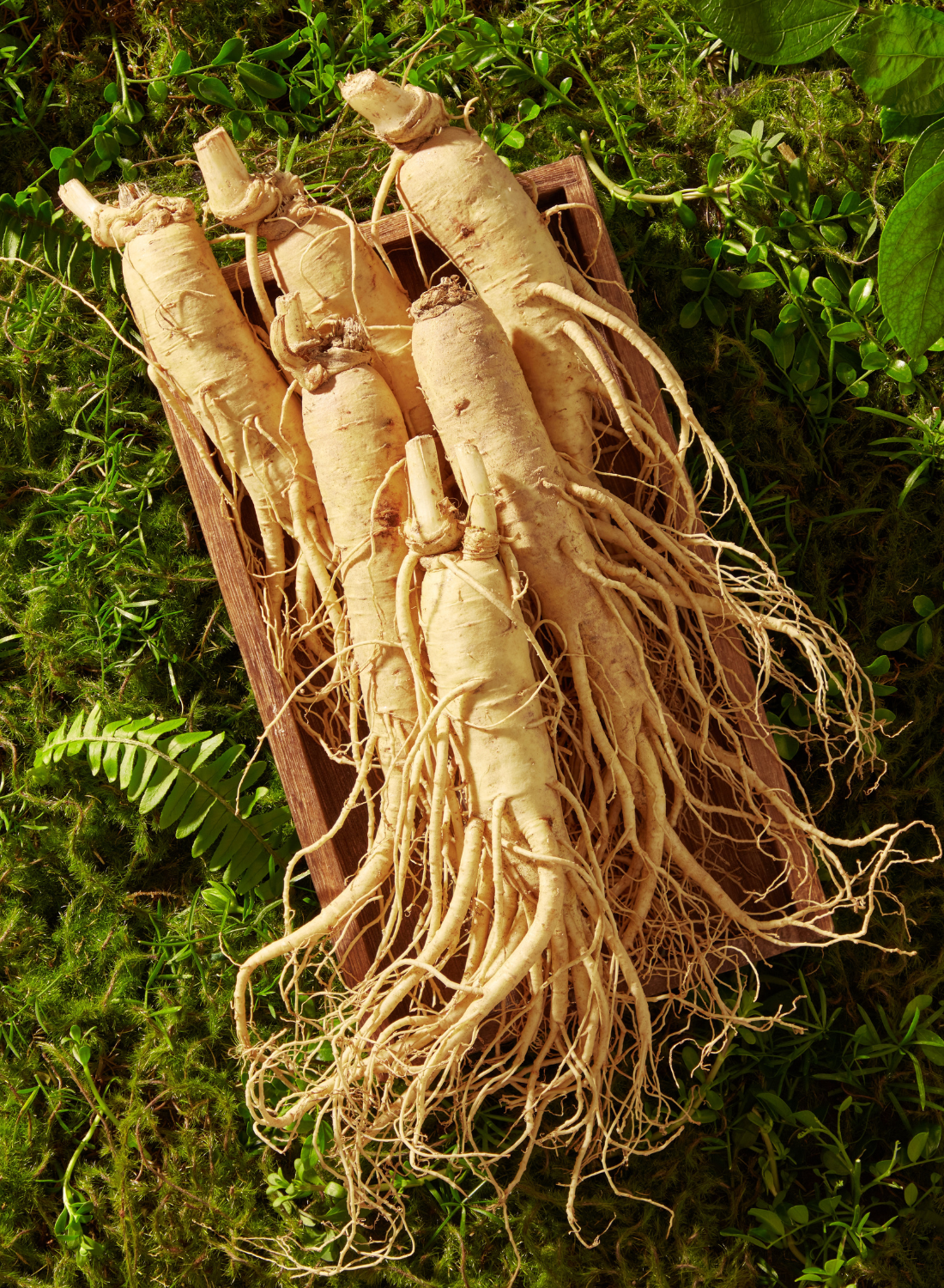 Good Organics image